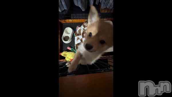 ��2��14�� 08��38ʬ��ư���