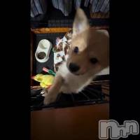 2��14�� 08��38ʬ��ư��