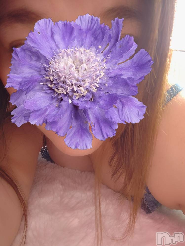 新潟デリヘル奥様特急 新潟店(オクサマトッキュウニイガタテン) ともか(46)の11月6日写メブログ「解禁～⁉️かな??」