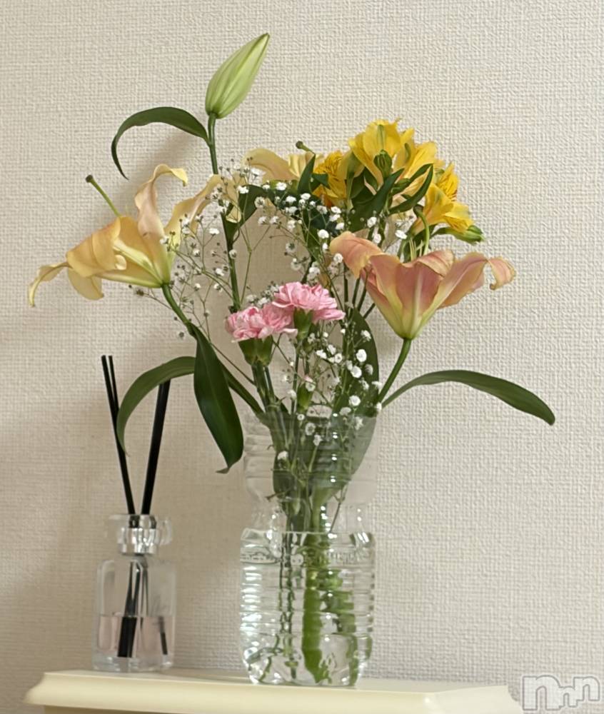 ����������ʥå��������륺�С����󥻥ץȥ��ե� ���ˤޤ����(���󥻥ץȥ��ե����˥ޥ륭�奦�ǥ�) ����2��26���̥�֥�����💐��