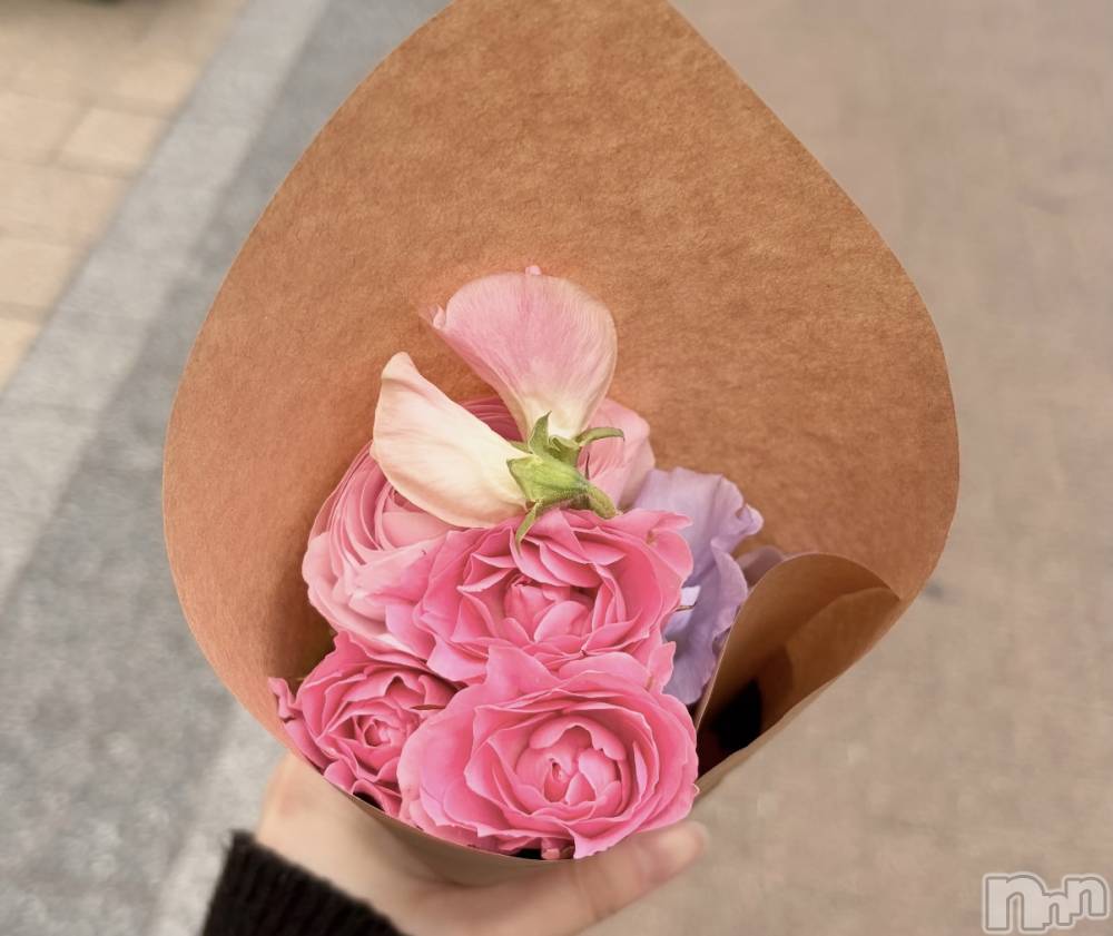 ����������ʥå��������륺�С����󥻥ץȥ��ե� ���ˤޤ����(���󥻥ץȥ��ե����˥ޥ륭�奦�ǥ�) ����4��3���̥�֥�����🎀��