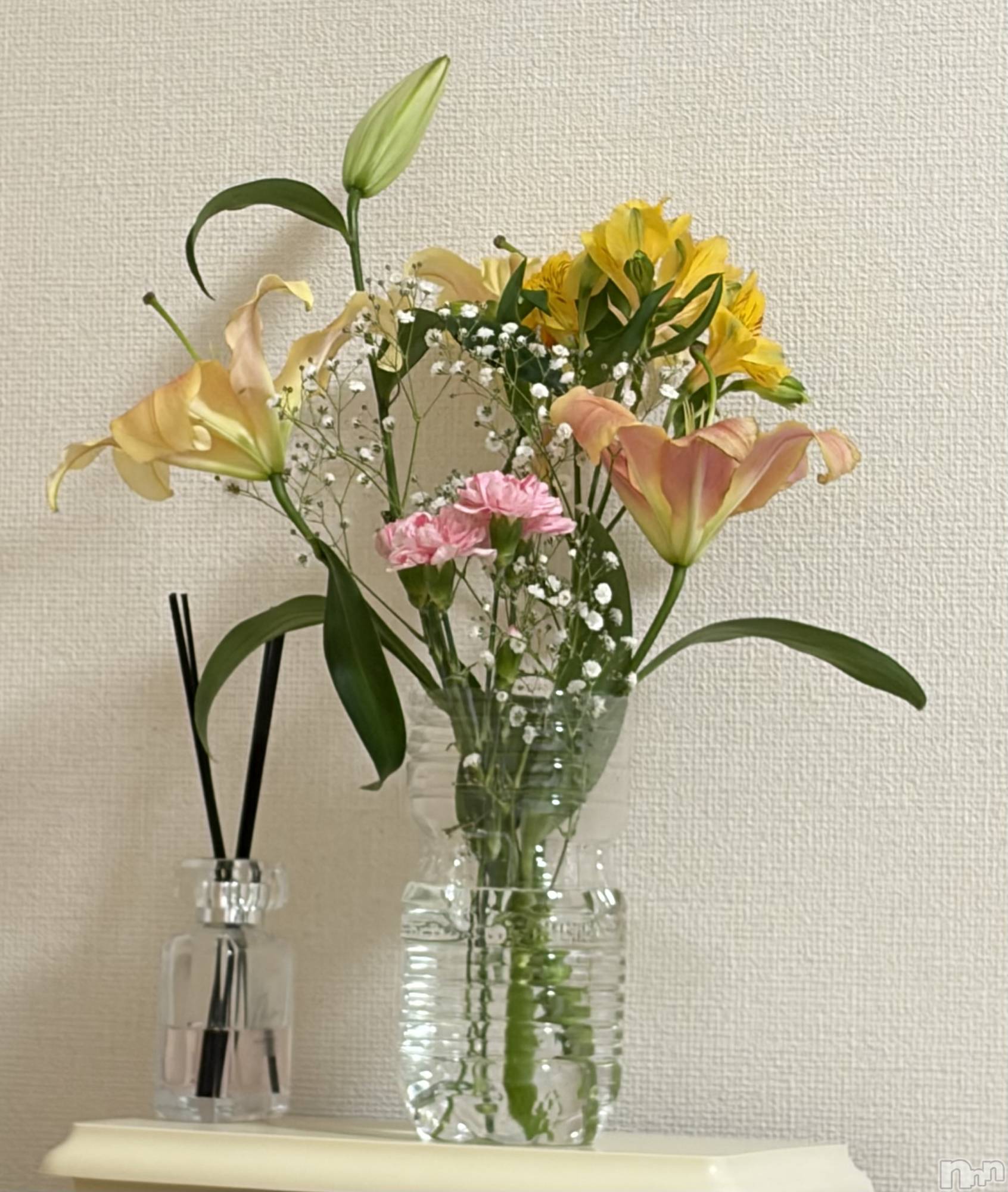 ����������ʥå��������륺�С����󥻥ץȥ��ե� ���ˤޤ����(���󥻥ץȥ��ե����˥ޥ륭�奦�ǥ�) ��2026ǯ2��26���̥�֥�����💐��