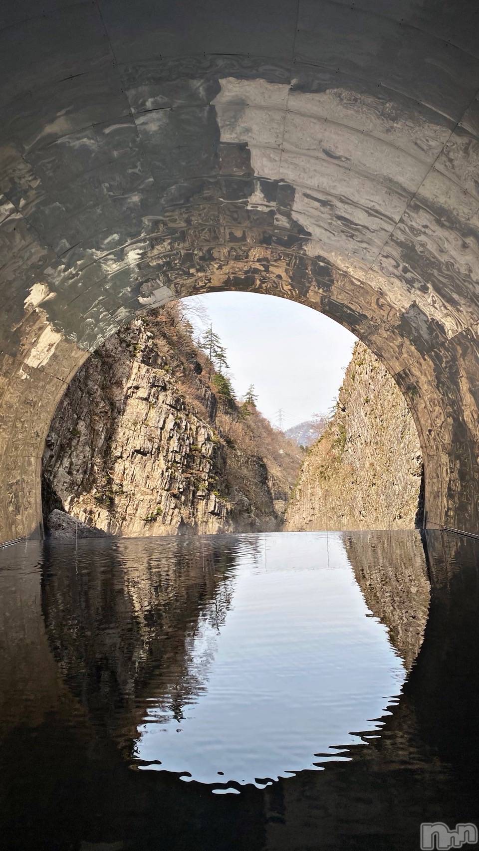 ����������ʥå��������륺�С����󥻥ץȥ��ե� ���ˤޤ����(���󥻥ץȥ��ե����˥ޥ륭�奦�ǥ�) ��2026ǯ3��27���̥�֥�����3��27�� 23��03ʬ�Υ֥�����