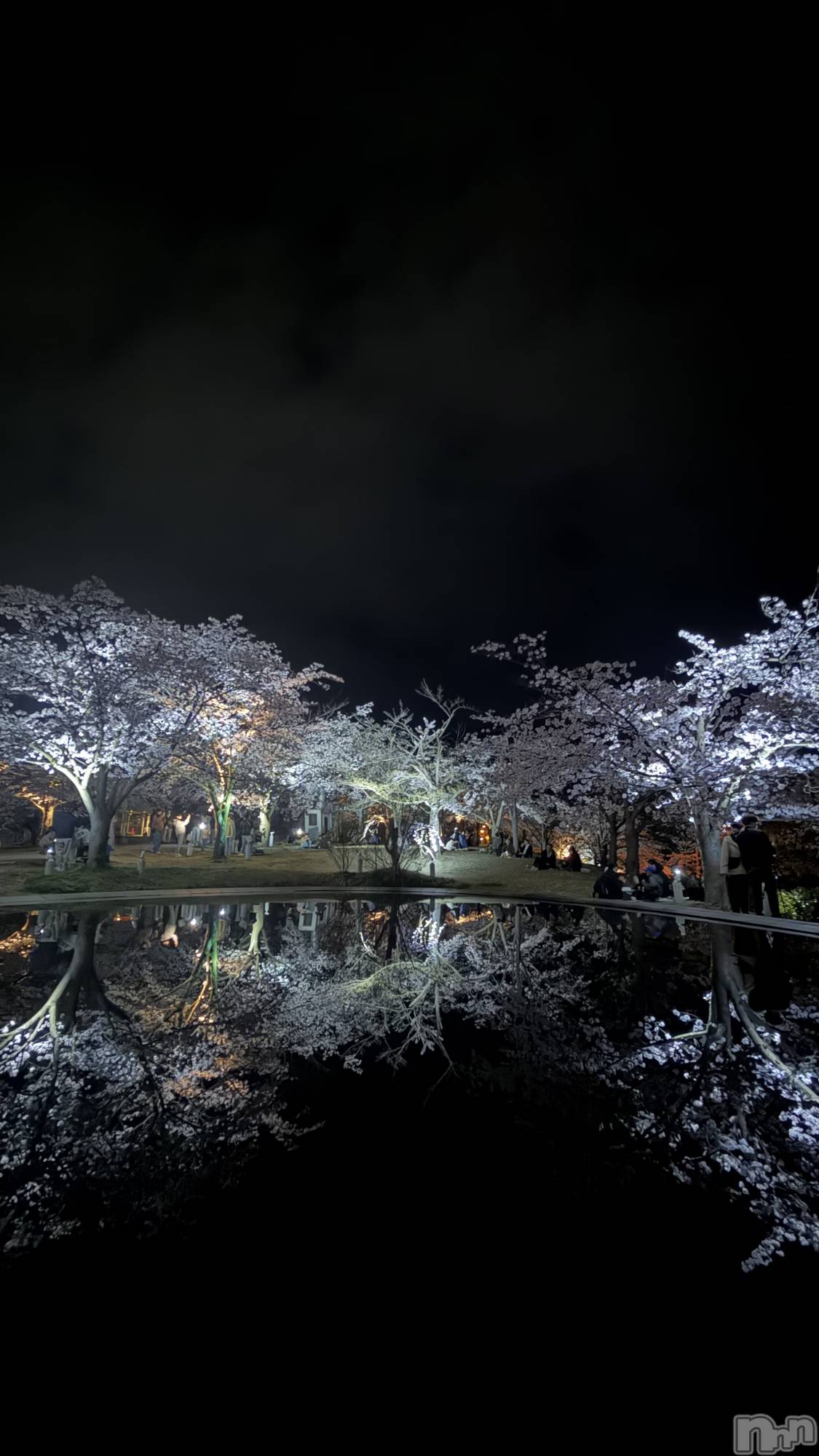 ����������ʥå��������륺�С����󥻥ץȥ��ե� ���ˤޤ����(���󥻥ץȥ��ե����˥ޥ륭�奦�ǥ�) ��2026ǯ4��10���̥�֥�����😵‍💫🌀��