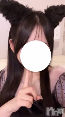 ʥå륺С󥻥ץȥե ˤޤ(󥻥ץȥե˥ޥ륭奦ǥ) 919̥֥919 2027ʬΥ֥