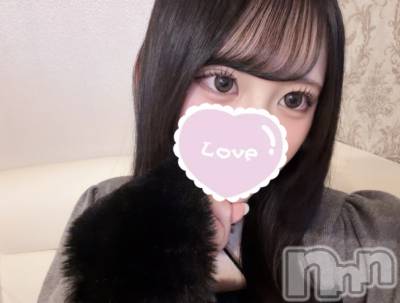 ����������ʥå��������륺�С����󥻥ץȥ��ե� ���ˤޤ����(���󥻥ץȥ��ե����˥ޥ륭�奦�ǥ�) ����3��13���̥�֥����ֻ����Ǥ�♩��