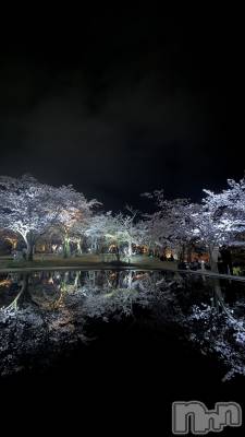 ����������ʥå��������륺�С����󥻥ץȥ��ե� ���ˤޤ����(���󥻥ץȥ��ե����˥ޥ륭�奦�ǥ�) ����4��10���̥�֥�����😵‍💫🌀��