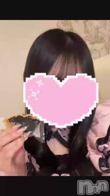 ����������🩷