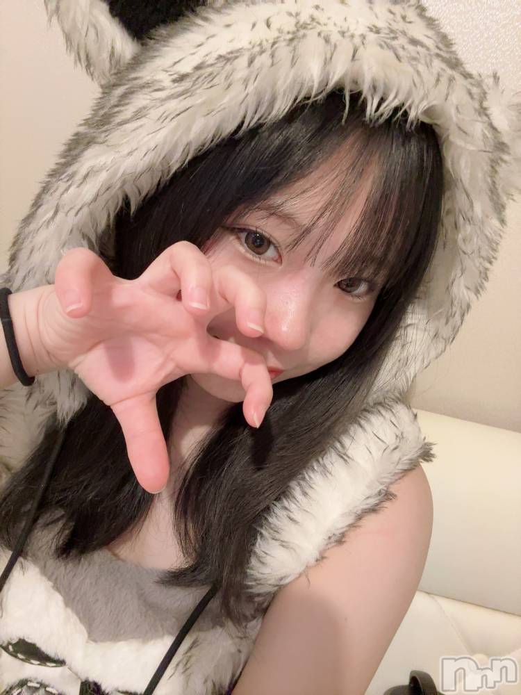 ʥå륺С󥻥ץȥե ˤޤ(󥻥ץȥե˥ޥ륭奦ǥ) Ϥ429̥֥429 2023ʬΥ֥