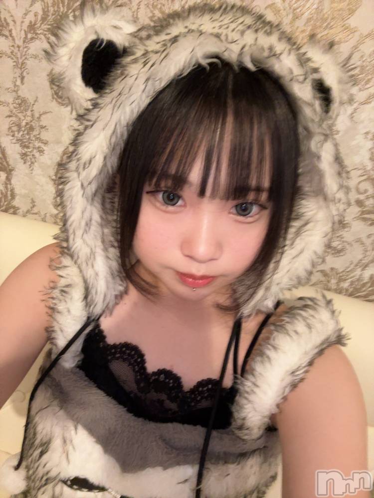 ʥå륺С󥻥ץȥե ˤޤ(󥻥ץȥե˥ޥ륭奦ǥ) Ϥ618̥֥618 2157ʬΥ֥
