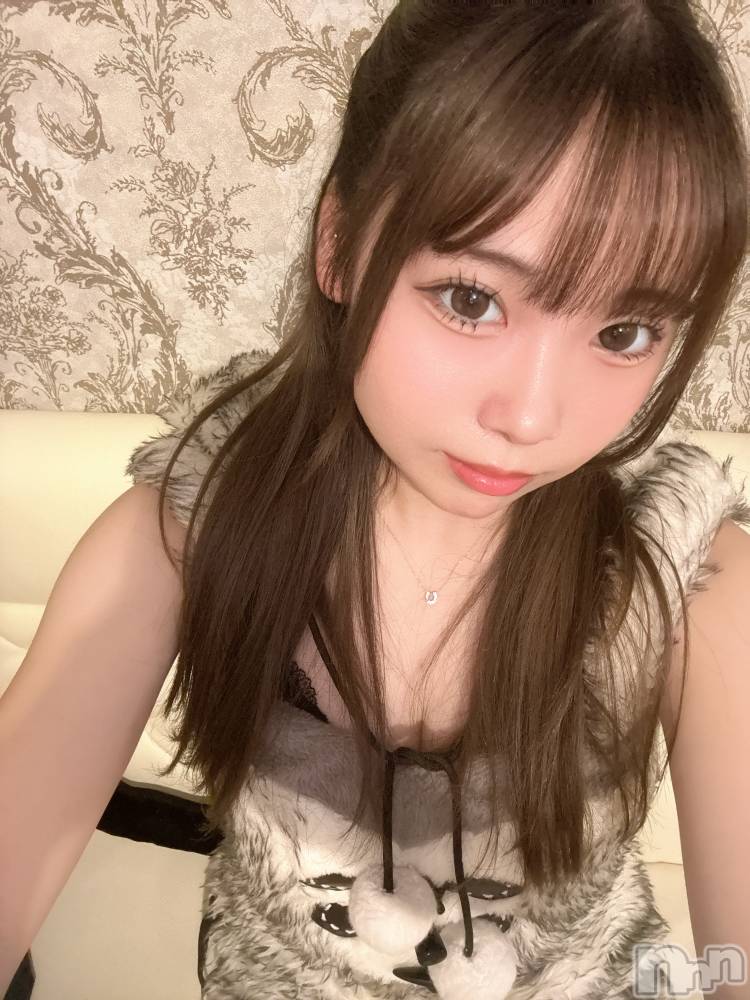 ʥå륺С󥻥ץȥե ˤޤ(󥻥ץȥե˥ޥ륭奦ǥ) Ϥ1126̥֥1126 2117ʬΥ֥