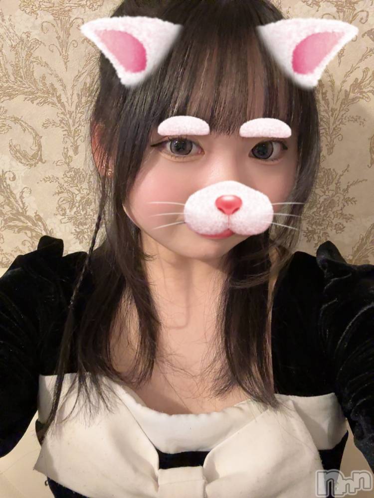 ʥå륺С󥻥ץȥե ˤޤ(󥻥ץȥե˥ޥ륭奦ǥ) Ϥ522̥֥522 2335ʬμ̥֥