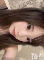 ʥå륺С󥻥ץȥե ˤޤ(󥻥ץȥե˥ޥ륭奦ǥ) Ϥ108̥֥108 2145ʬΥ֥