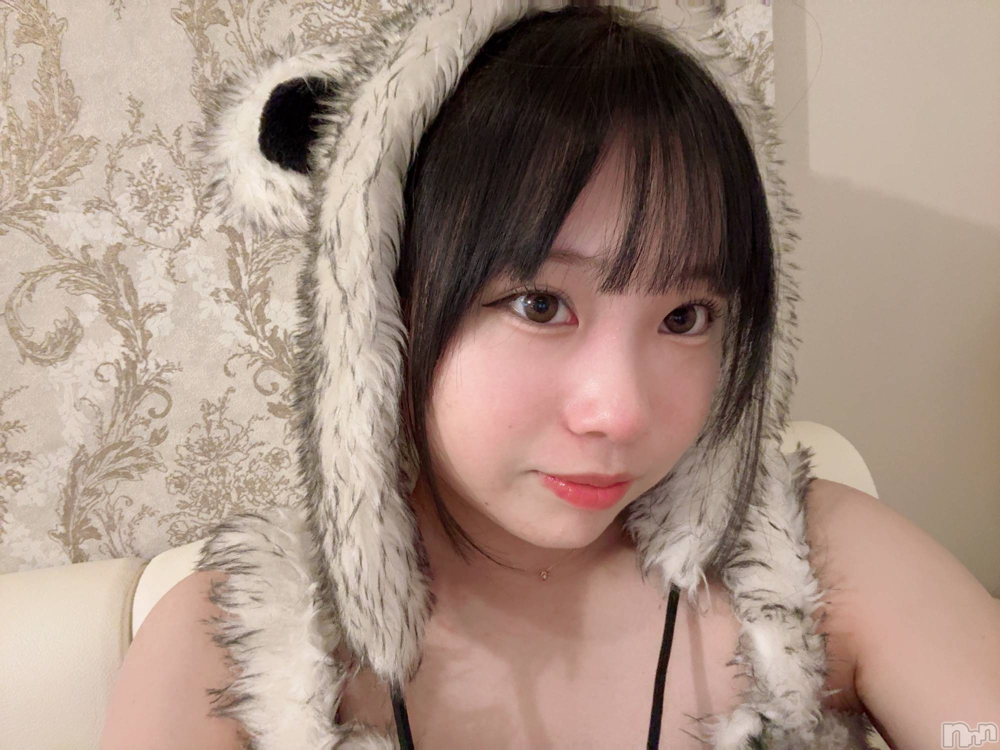 ʥå륺С󥻥ץȥե ˤޤ(󥻥ץȥե˥ޥ륭奦ǥ) 2025ǯ430̥֥430 2320ʬΥ֥