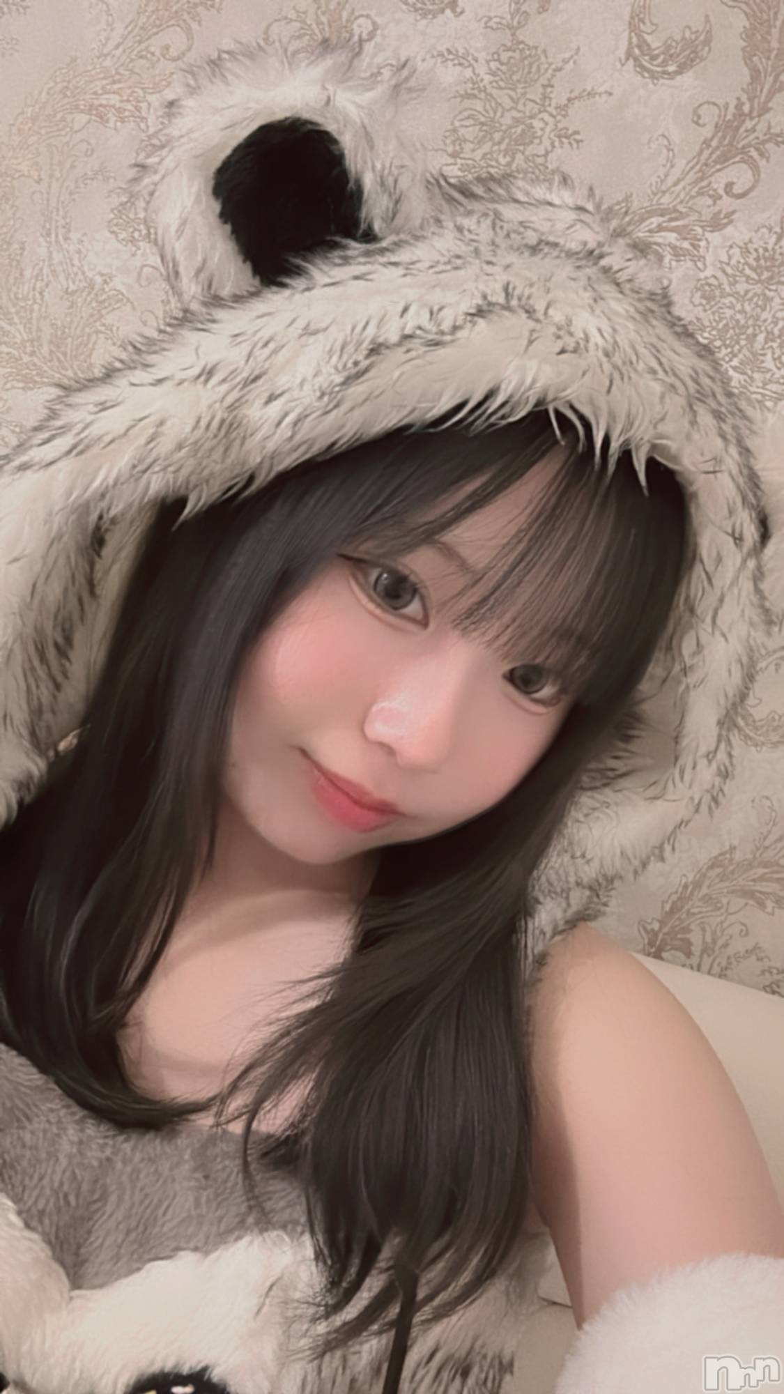 ʥå륺С󥻥ץȥե ˤޤ(󥻥ץȥե˥ޥ륭奦ǥ) 2025ǯ516̥֥516 2019ʬΥ֥