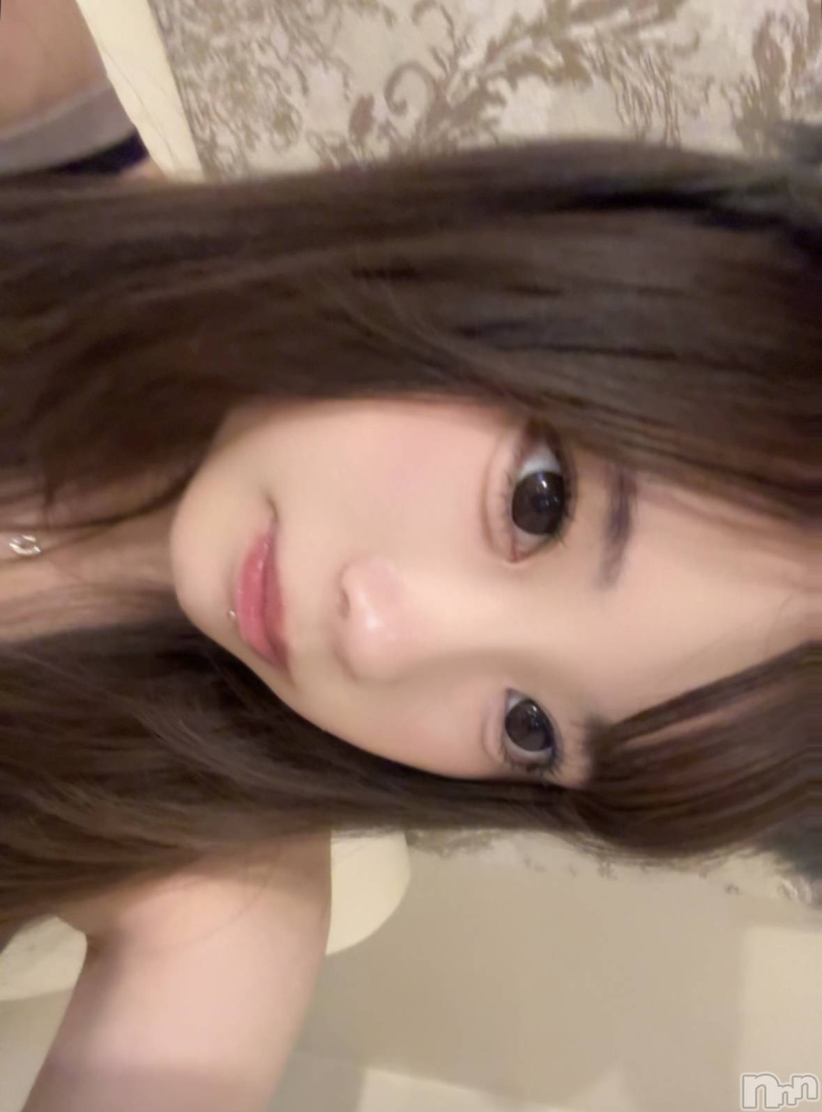ʥå륺С󥻥ץȥե ˤޤ(󥻥ץȥե˥ޥ륭奦ǥ) 2025ǯ108̥֥108 2145ʬΥ֥