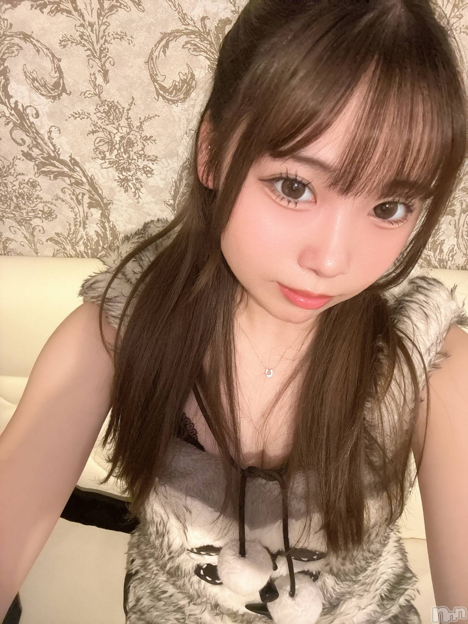 ʥå륺С󥻥ץȥե ˤޤ(󥻥ץȥե˥ޥ륭奦ǥ) 2025ǯ1126̥֥1126 2117ʬΥ֥