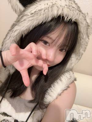 ʥå륺С󥻥ץȥե ˤޤ(󥻥ץȥե˥ޥ륭奦ǥ) Ϥ429̥֥429 2023ʬΥ֥
