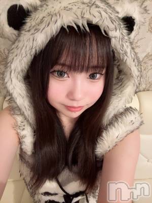 ʥå륺С󥻥ץȥե ˤޤ(󥻥ץȥե˥ޥ륭奦ǥ) Ϥ74̥֥74 2124ʬΥ֥