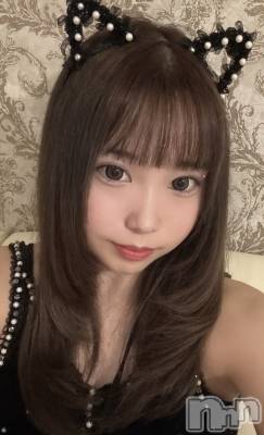 ʥå륺С󥻥ץȥե ˤޤ(󥻥ץȥե˥ޥ륭奦ǥ) Ϥ95̥֥95 2117ʬΥ֥