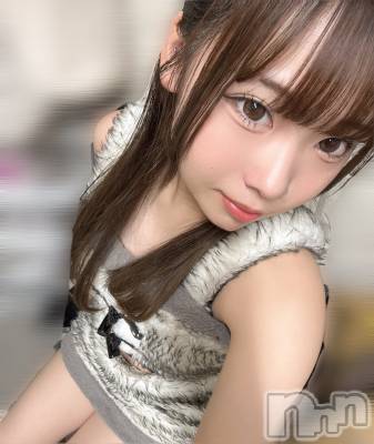 ʥå륺С󥻥ץȥե ˤޤ(󥻥ץȥե˥ޥ륭奦ǥ) Ϥ1125̥֥1125 2213ʬΥ֥