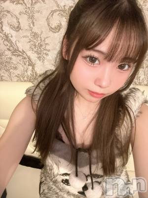 ʥå륺С󥻥ץȥե ˤޤ(󥻥ץȥե˥ޥ륭奦ǥ) Ϥ1126̥֥1126 2117ʬΥ֥