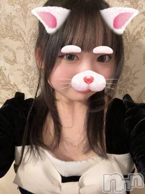 ʥå륺С󥻥ץȥե ˤޤ(󥻥ץȥե˥ޥ륭奦ǥ) Ϥ522̥֥522 2335ʬμ̥֥