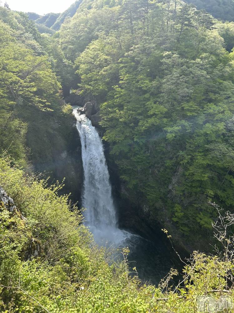 Х顦ֽϽХ Lips(奯祭Хåץ) Τ59ֽ̥֥🏞️