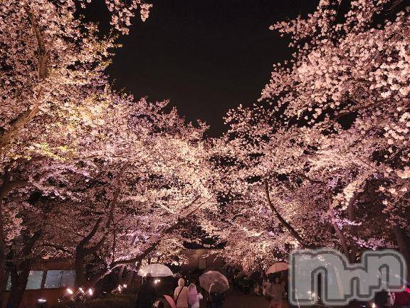 新潟手コキ新潟風俗Noel-ノエル-(ノエル) 体験しずか(21)の4月28日写メブログ「🐾出勤情報🐾」