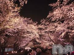 新潟手コキ新潟風俗Noel-ノエル-(ノエル) 体験しずか(21)の4月28日写メブログ「🐾出勤情報🐾」