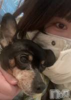 �������������Х��顦�����CLUB Reve-�졼��-(����֥졼��) �������3��6���̥�֥����֤��äԡ����󥪥��㡼����ᐡ•̥ ·̫ •̥`��