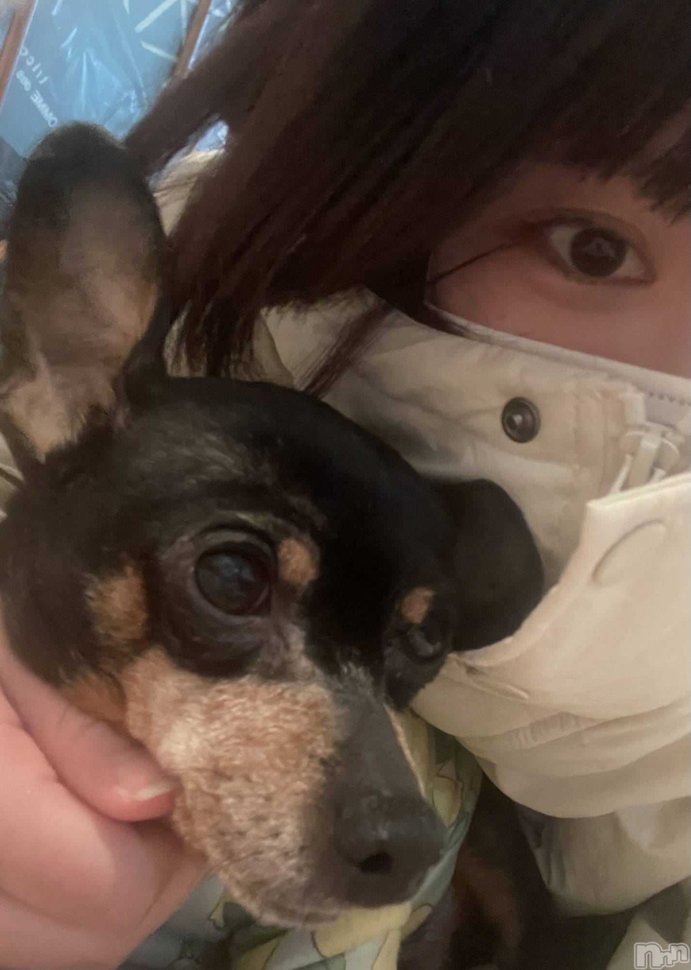 �������������Х��顦�����CLUB Reve-�졼��-(����֥졼��) ��2026ǯ3��6���̥�֥����֤��äԡ����󥪥��㡼����ᐡ•̥ ·̫ •̥`��