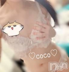新潟デリヘルSecret Love(シークレットラブ) ここ☆ロリの極み(20)の9月17日写メブログ「出勤してるよ🐥」