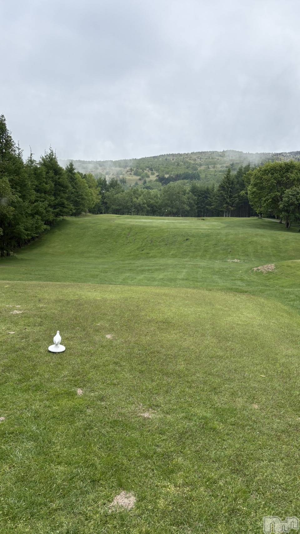 ƲХ顦CLUB FOUR GARDEN(֡եǥ) 2025ǯ612ֽ̥֥饦ɤƤ衪
