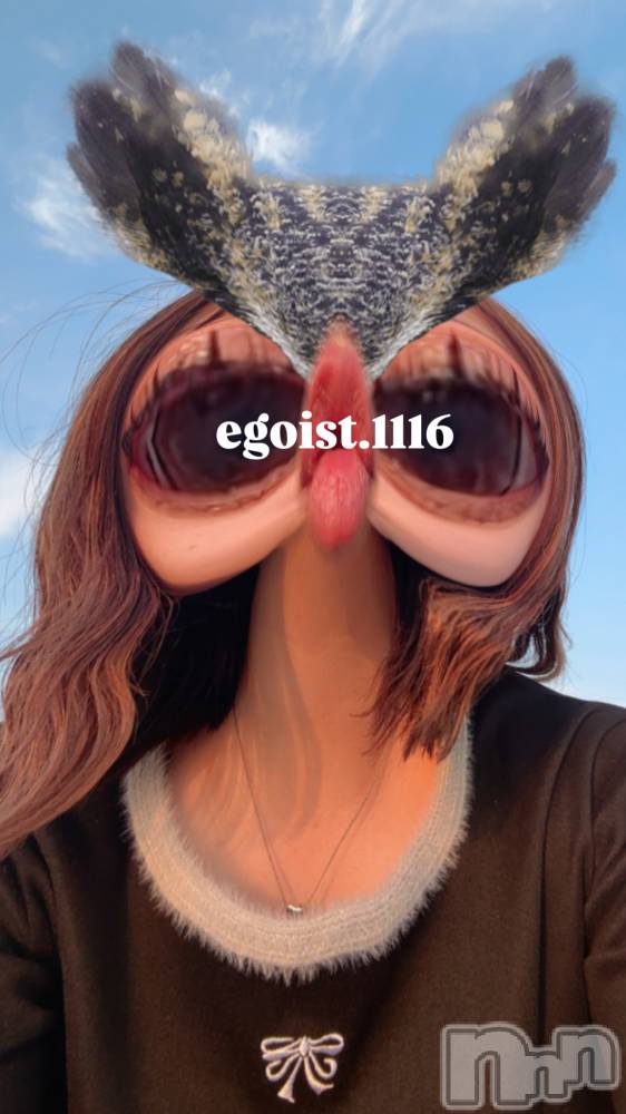 Įʥå륺СEGOIST() Τ520̥֥֤Ǥ礦ϡ