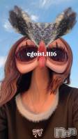 Įʥå륺СEGOIST() Τ(99)520̥֥֤Ǥ礦ϡ