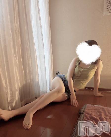 㡦ȯĥꥢ󥺥Ʋ֡(ϥʥϥ) ⤮94̥֥־夫Ⲽ