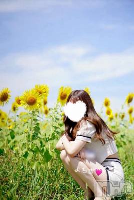 㡦ȯĥꥢ󥺥Ʋ֡(ϥʥϥ) ⤮(26)99̥֥֤⤮Υ֥λҤߤ