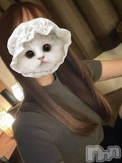 㡦ȯĥꥢ󥺥baby's breath(٥ӡ ֥쥹) ꤪڿۤ͡59̥֥֤Ϥޤ🌸
