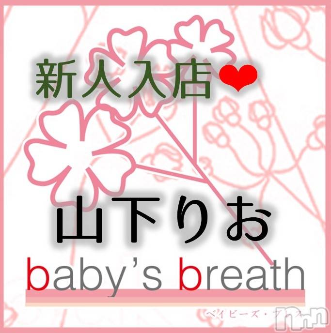 㡦ȯĥꥢ󥺥baby's breath(٥ӡ ֥쥹) ꤪڿۤ͡430̥֥֤ꤤޤ