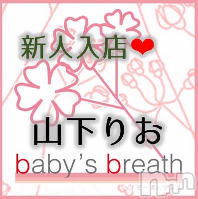 ꤪڿ͡(ҥߥ) Ĺҥߥġ㡦ȯĥꥢ󥺥 baby's breath(٥ӡ ֥쥹)ҡ