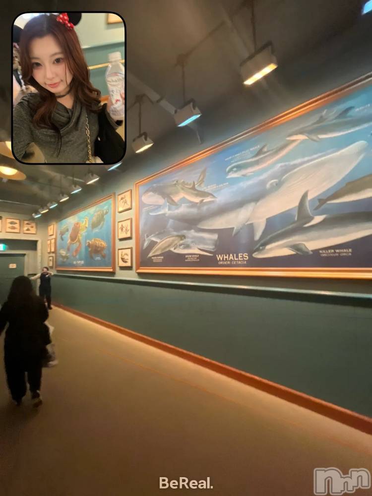 ����������ʥå��������륺�С�JEUNESSE(����ͥ�) Sana��4��6���̥�֥����֥ǥ����ˡ�🧜‍��️🐚✨��