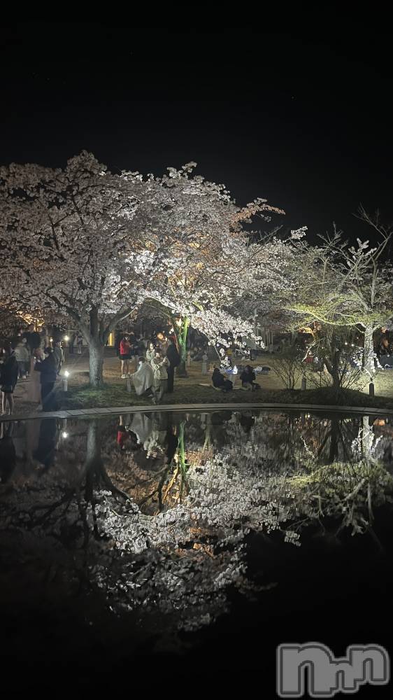 ����������ʥå��������륺�С�JEUNESSE(����ͥ�) Sana��4��9���̥�֥����ֺ��λ������͡�