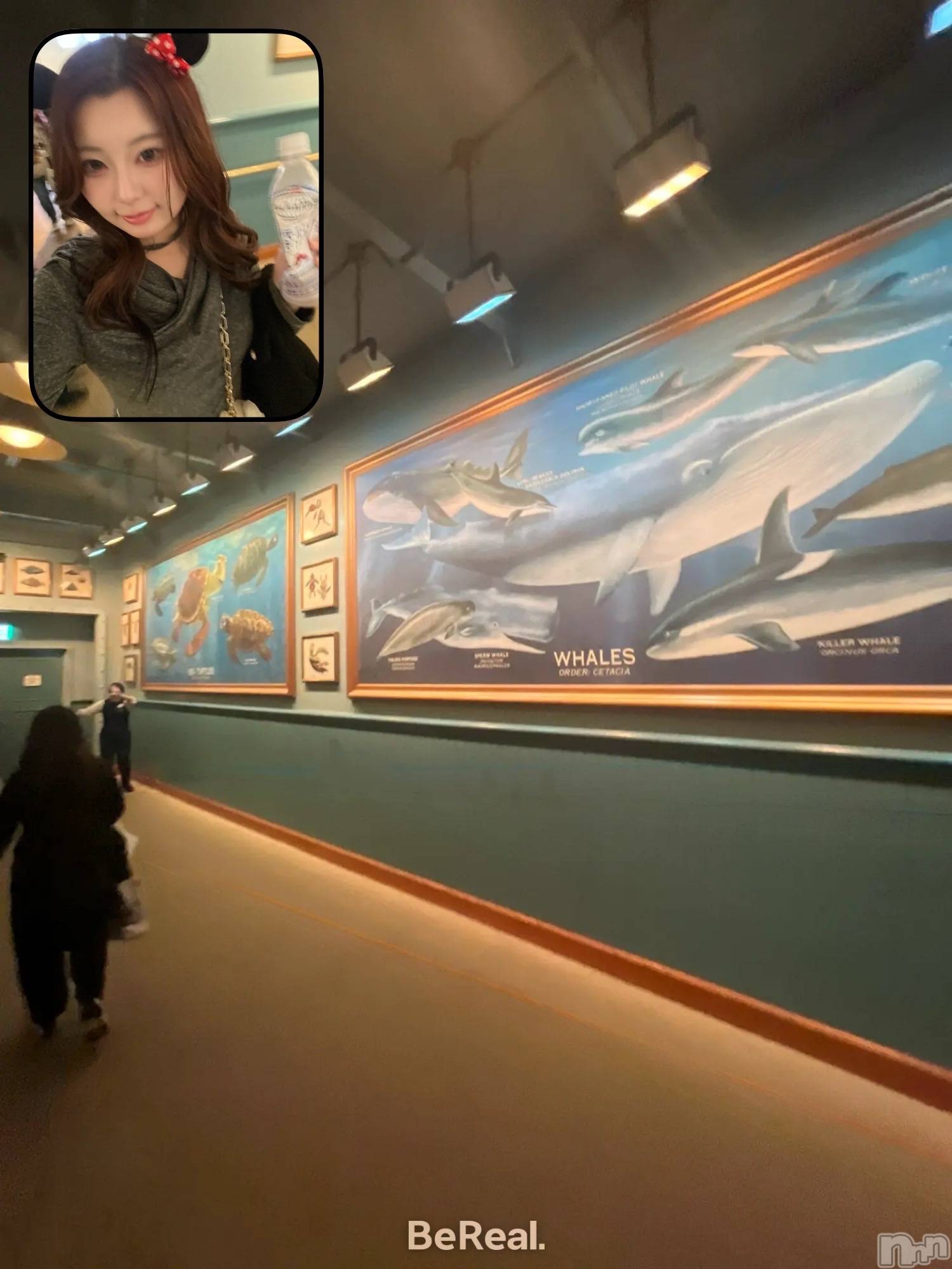 ����������ʥå��������륺�С�JEUNESSE(����ͥ�) ��2026ǯ4��6���̥�֥����֥ǥ����ˡ�🧜‍��️🐚✨��