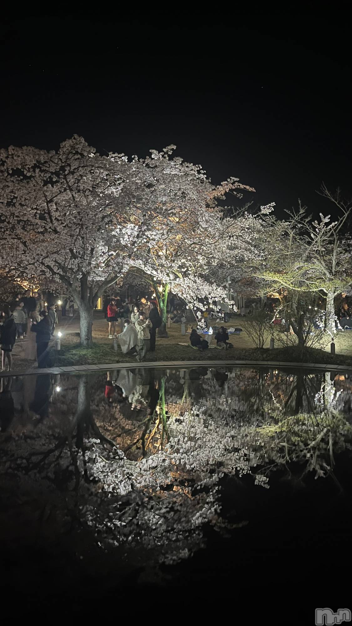 ����������ʥå��������륺�С�JEUNESSE(����ͥ�) ��2026ǯ4��9���̥�֥����ֺ��λ������͡�