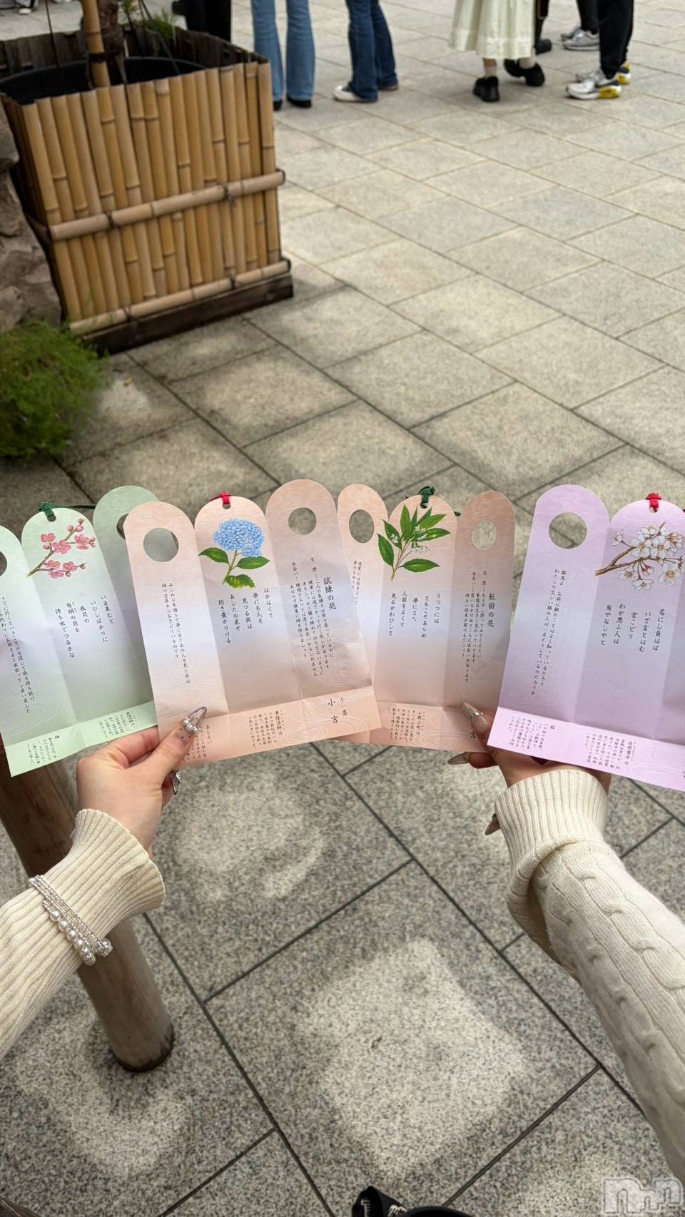 ����������ʥå��������륺�С�JEUNESSE(����ͥ�) ��2026ǯ10��5���̥�֥����ֱ���💕��