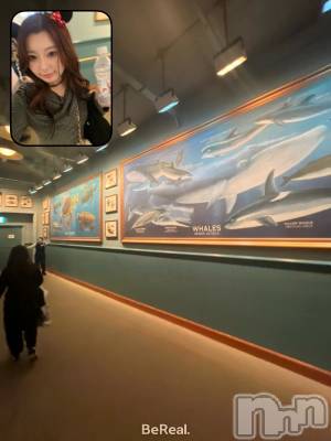 ����������ʥå��������륺�С�JEUNESSE(����ͥ�) Sana��4��6���̥�֥����֥ǥ����ˡ�🧜‍��️🐚✨��