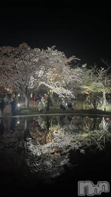 ����������ʥå��������륺�С�JEUNESSE(����ͥ�) Sana��4��9���̥�֥����ֺ��λ������͡�