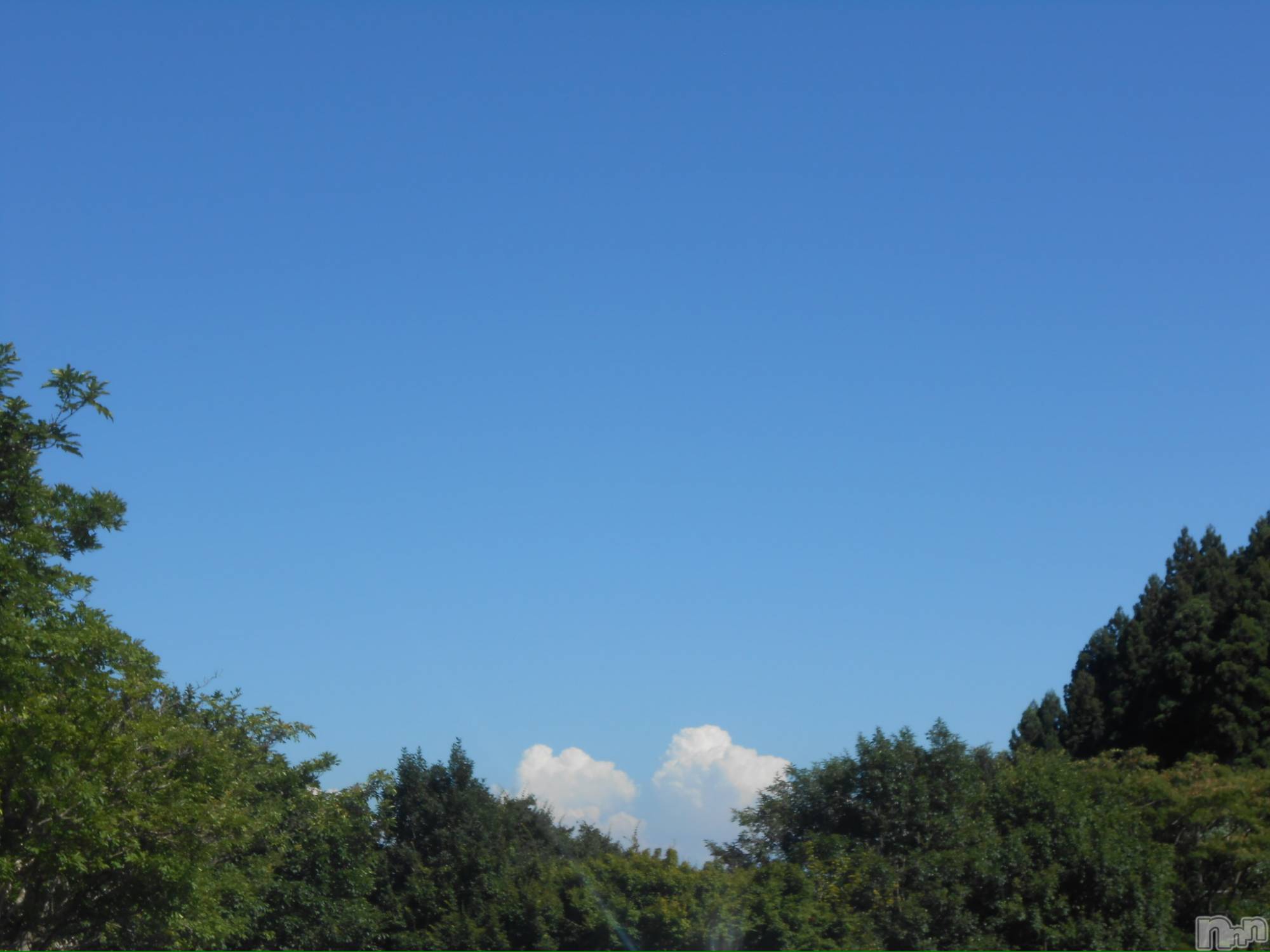 ʥå륺СJEUNESSE(ͥ) 2025ǯ731̥֥#