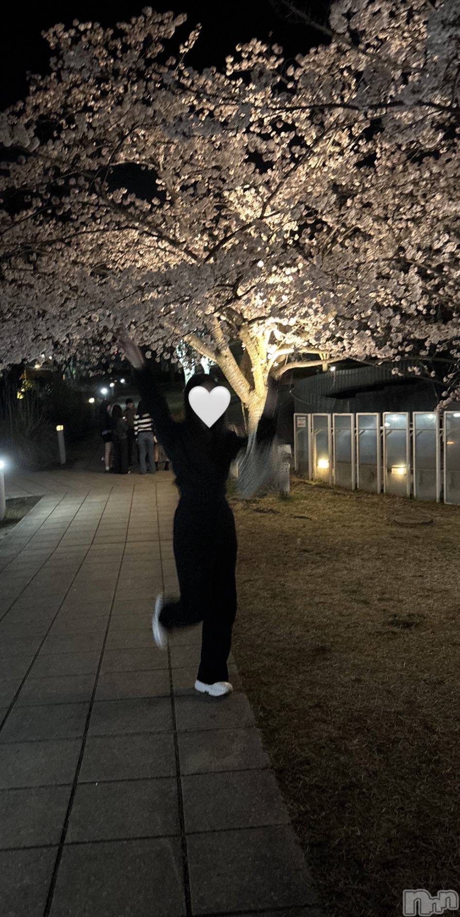 ����������ʥå��������륺�С�JEUNESSE(����ͥ�) ��2026ǯ4��8���̥�֥�����🌸��